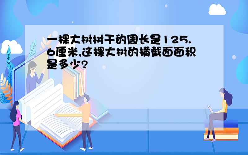 一棵大树树干的周长是125.6厘米,这棵大树的横截面面积是多少?