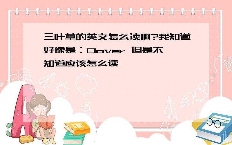 三叶草的英文怎么读啊?我知道好像是：Clover 但是不知道应该怎么读、、