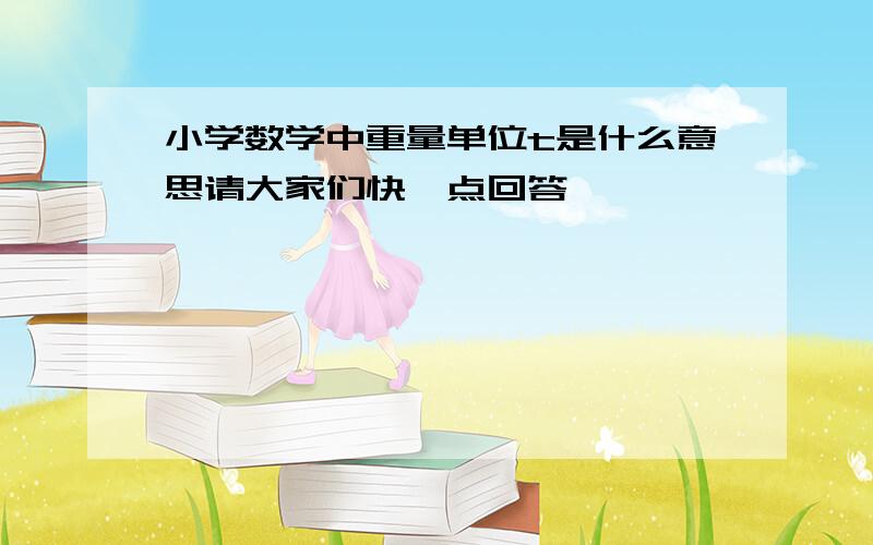 小学数学中重量单位t是什么意思请大家们快一点回答