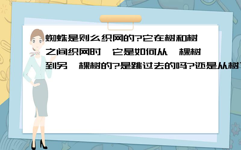 蜘蛛是则么织网的?它在树和树之间织网时,它是如何从一棵树到另一棵树的?是跳过去的吗?还是从树下走啊?