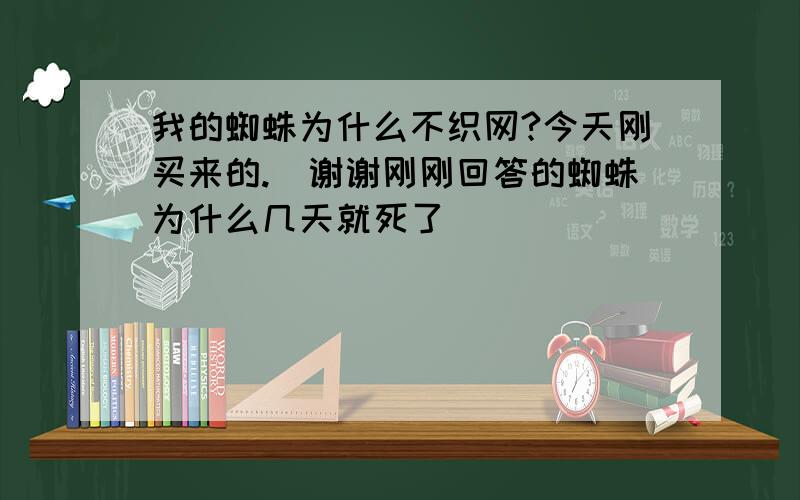 我的蜘蛛为什么不织网?今天刚买来的.（谢谢刚刚回答的蜘蛛为什么几天就死了）