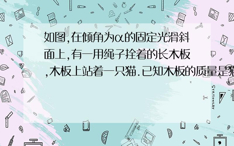 如图,在倾角为α的固定光滑斜面上,有一用绳子拴着的长木板,木板上站着一只猫.已知木板的质量是猫的质量的2倍.当绳子突然断开时,猫立即沿着板向上跑,以保持其相对斜面的位置不变.则此