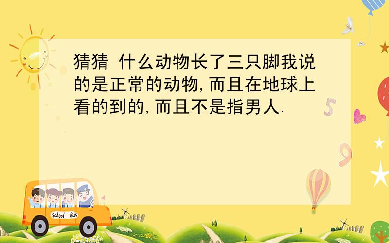 猜猜 什么动物长了三只脚我说的是正常的动物,而且在地球上看的到的,而且不是指男人.