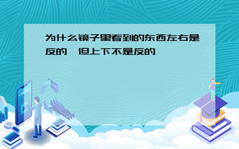 为什么镜子里看到的东西左右是反的,但上下不是反的,