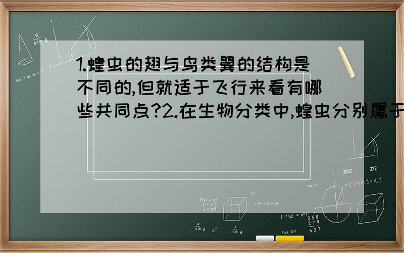 1.蝗虫的翅与鸟类翼的结构是不同的,但就适于飞行来看有哪些共同点?2.在生物分类中,蝗虫分别属于如下分类单位.请你按生物分类由大到小的顺序排列:_______________(1)直翅目(2)昆虫纲(3)节肢动