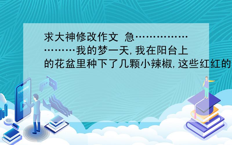 求大神修改作文 急……………………我的梦一天,我在阳台上的花盆里种下了几颗小辣椒,这些红红的种子,蕴含着我美好的梦想,在我一天天热切的期盼与等待中,它们终于在一个星期后的早晨