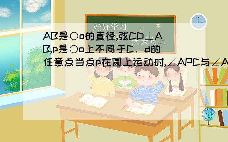 AB是○o的直径,弦CD⊥AB,p是○o上不同于C、d的任意点当点p在圆上运动时,∠APC与∠APD的关系