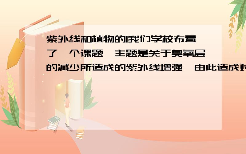 紫外线和植物的!我们学校布置了一个课题,主题是关于臭氧层的减少所造成的紫外线增强,由此造成对于植物的影响（延伸到地球上的食物资源）.要求设计一个实验来体现这个主题,然后我想