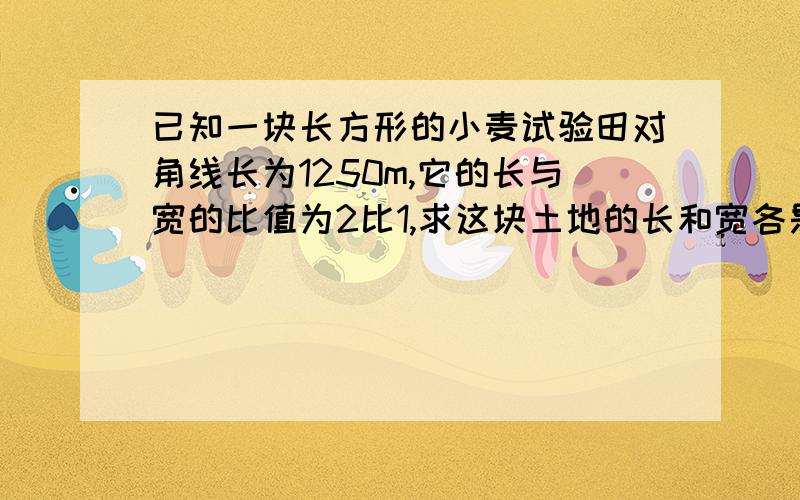 已知一块长方形的小麦试验田对角线长为1250m,它的长与宽的比值为2比1,求这块土地的长和宽各是多少