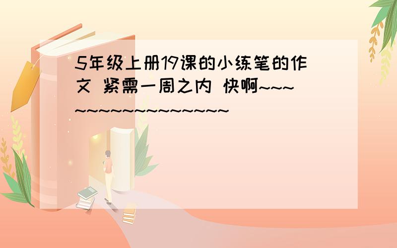 5年级上册19课的小练笔的作文 紧需一周之内 快啊~~~~~~~~~~~~~~~~