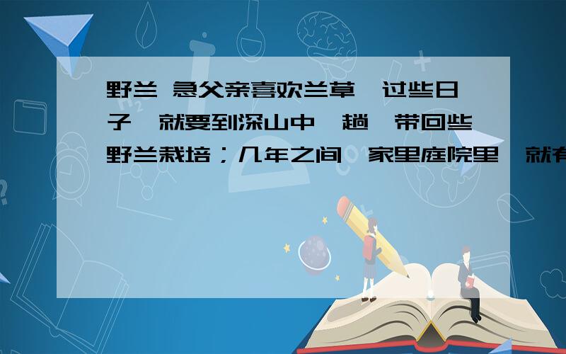 野兰 急父亲喜欢兰草,过些日子,就要到深山中一趟,带回些野兰栽培；几年之间,家里庭院里,就有了百十余品种,像要作一个兰草园圃似的,方圆十几里的人,就都跑来玩赏,父亲并不以此得意,而