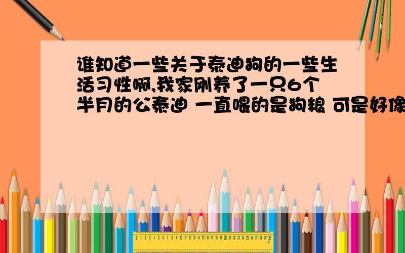 谁知道一些关于泰迪狗的一些生活习性啊,我家刚养了一只6个半月的公泰迪 一直喂的是狗粮 可是好像吃不饱的样子 总是我吃什么他也吃 但有时候会吐怎么办 是不是只能吃狗粮和水果啊