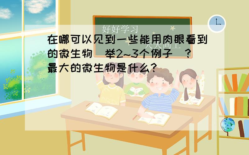 在哪可以见到一些能用肉眼看到的微生物（举2~3个例子）?最大的微生物是什么?