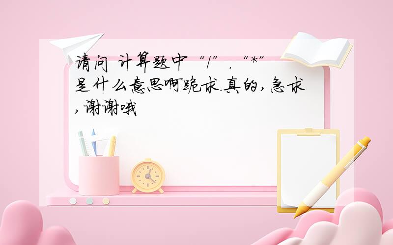 请问 计算题中“/”.“*”是什么意思啊跪求.真的,急求,谢谢哦