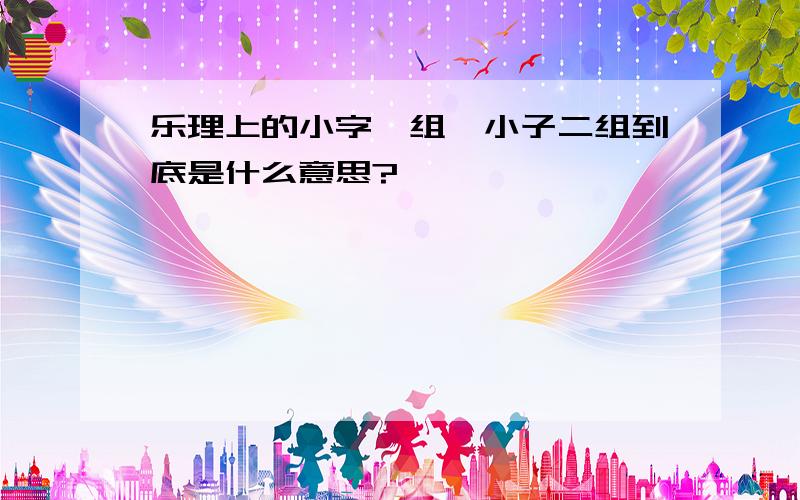 乐理上的小字一组、小子二组到底是什么意思?