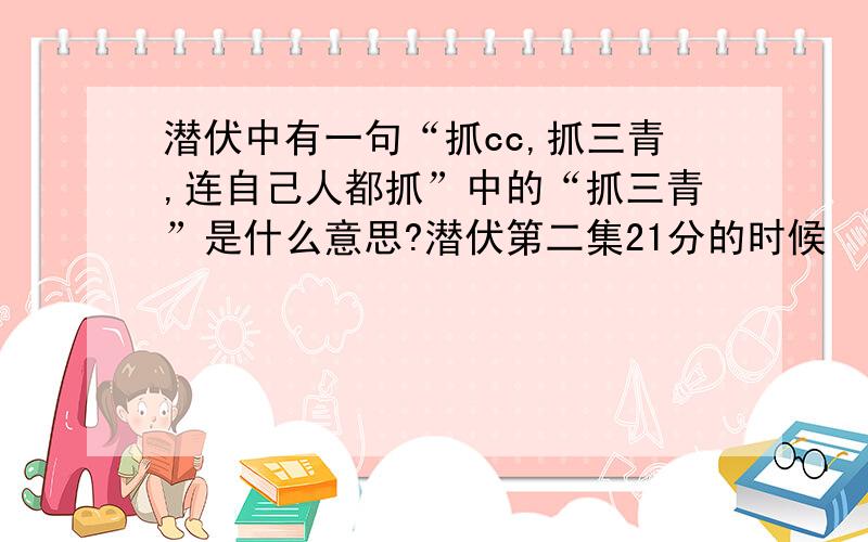 潜伏中有一句“抓cc,抓三青,连自己人都抓”中的“抓三青”是什么意思?潜伏第二集21分的时候