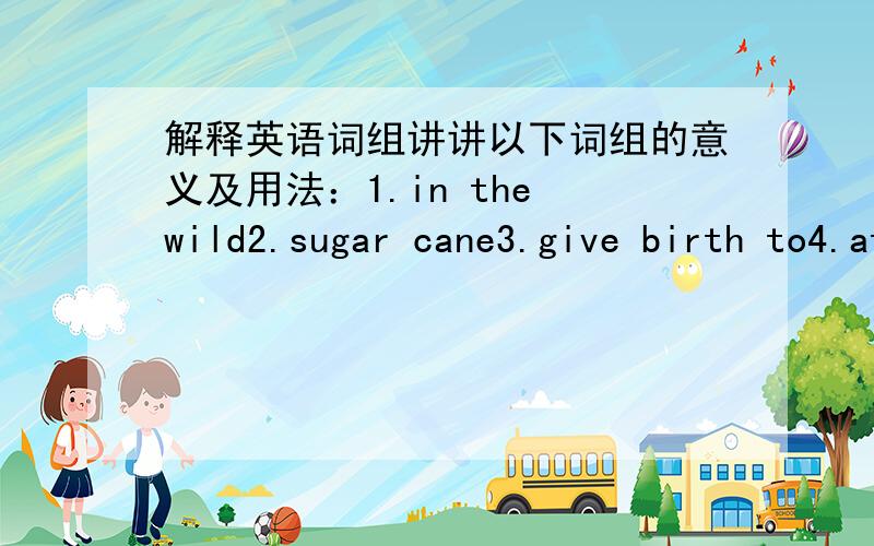 解释英语词组讲讲以下词组的意义及用法：1.in the wild2.sugar cane3.give birth to4.at birth 5.so that6.in case 7.anti-shark gun8.drinking water9.folding chair10.rubbish bag11.mosquito spray12.suntan oil13.on one's own14.except for15.t