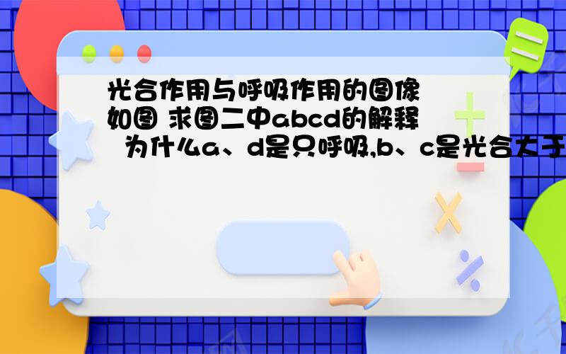 光合作用与呼吸作用的图像  如图 求图二中abcd的解释  为什么a、d是只呼吸,b、c是光合大于呼吸呐?还有 ab,bc,cd的含义  求详解 .答案只有结果