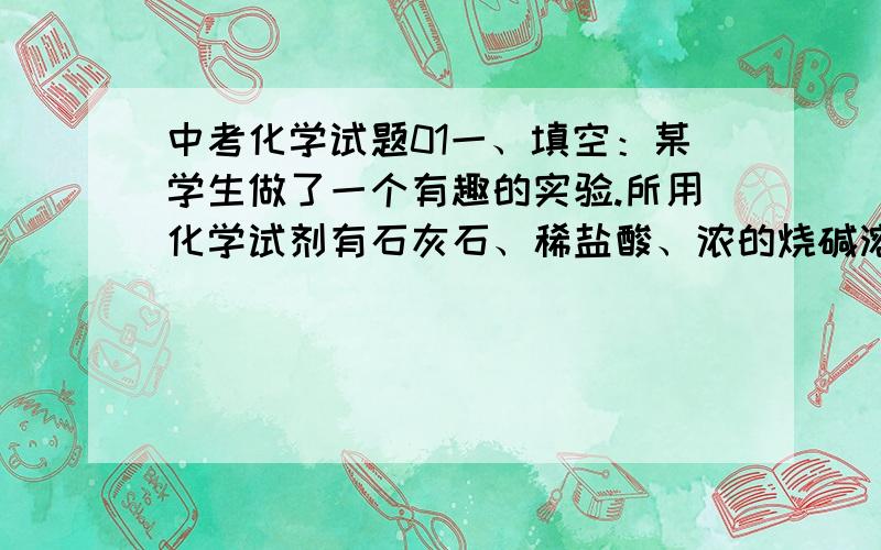 中考化学试题01一、填空：某学生做了一个有趣的实验.所用化学试剂有石灰石、稀盐酸、浓的烧碱溶液；仪器有试管、单孔塞、导管、可乐瓶、注射器等.第一步：用可乐瓶收集满一种气体,