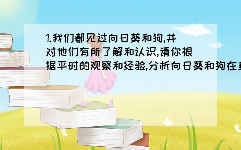 1.我们都见过向日葵和狗,并对他们有所了解和认识,请你根据平时的观察和经验,分析向日葵和狗在身体的结构层次上有哪些相同点和不同点.2.吃甘蔗时,要把甘蔗茎坚韧的皮剥去；咀嚼甘蔗茎