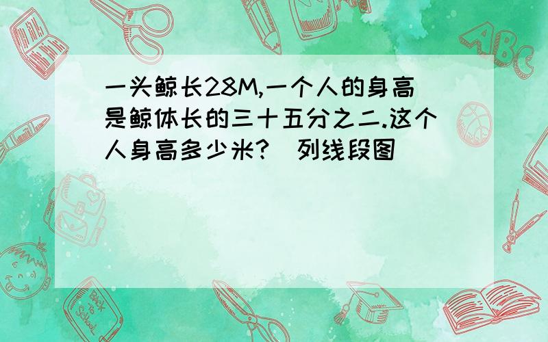 一头鲸长28M,一个人的身高是鲸体长的三十五分之二.这个人身高多少米?（列线段图）