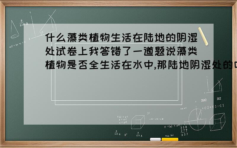 什么藻类植物生活在陆地的阴湿处试卷上我答错了一道题说藻类植物是否全生活在水中,那陆地阴湿处的叫什么藻类植物啊