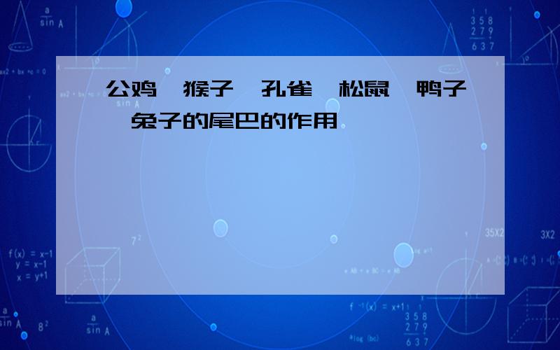 公鸡、猴子、孔雀、松鼠、鸭子、兔子的尾巴的作用