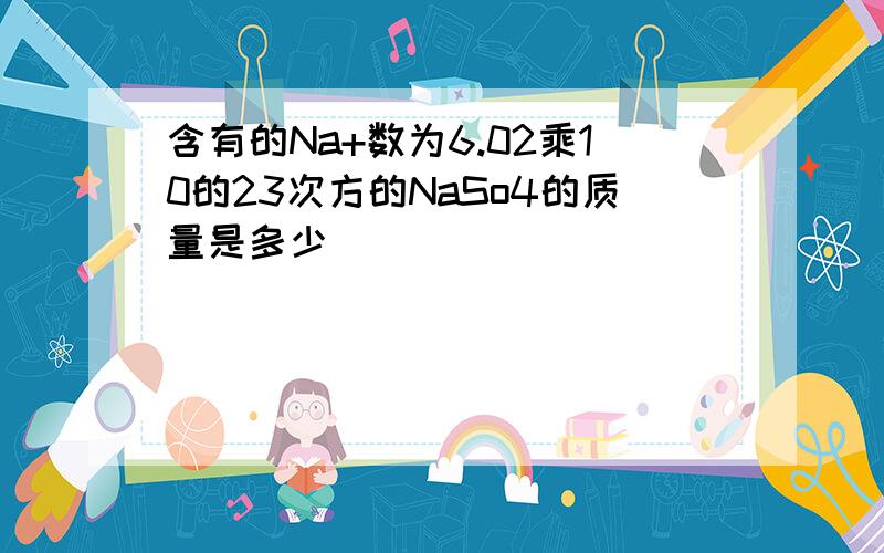 含有的Na+数为6.02乘10的23次方的NaSo4的质量是多少