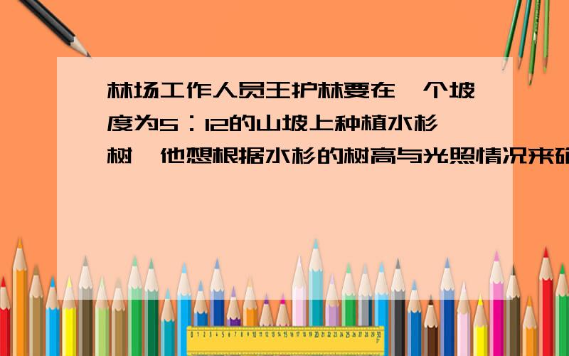 林场工作人员王护林要在一个坡度为5：12的山坡上种植水杉树,他想根据水杉的树高与光照情况来确定植树的间距．他决定在冬至日（北半球太阳最偏南）,去测量一棵成年水杉树,测得其在水