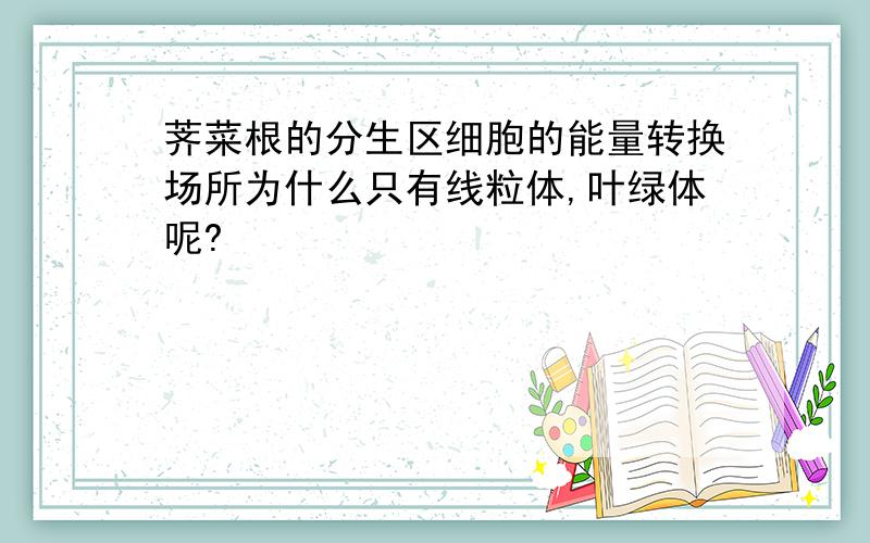 荠菜根的分生区细胞的能量转换场所为什么只有线粒体,叶绿体呢?