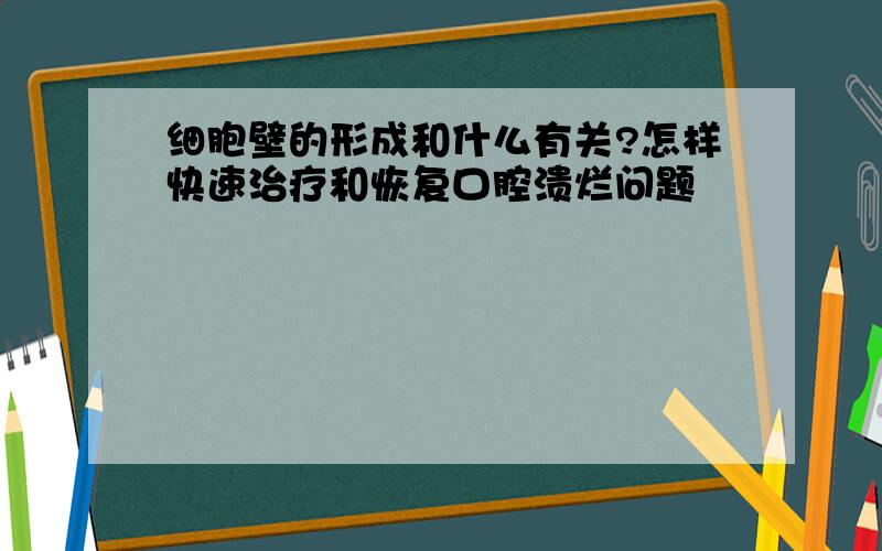 细胞壁的形成和什么有关?怎样快速治疗和恢复口腔溃烂问题