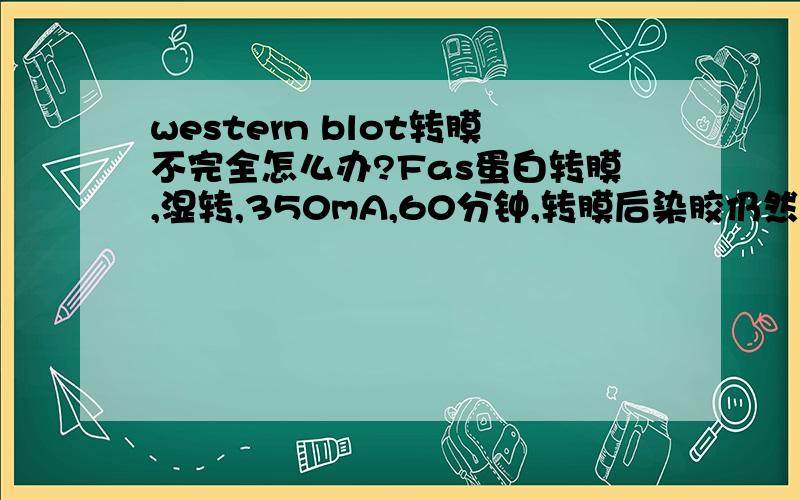 western blot转膜不完全怎么办?Fas蛋白转膜,湿转,350mA,60分钟,转膜后染胶仍然有条带；后进行80、90分钟,还是转膜不完全.时间还可以延长吗?