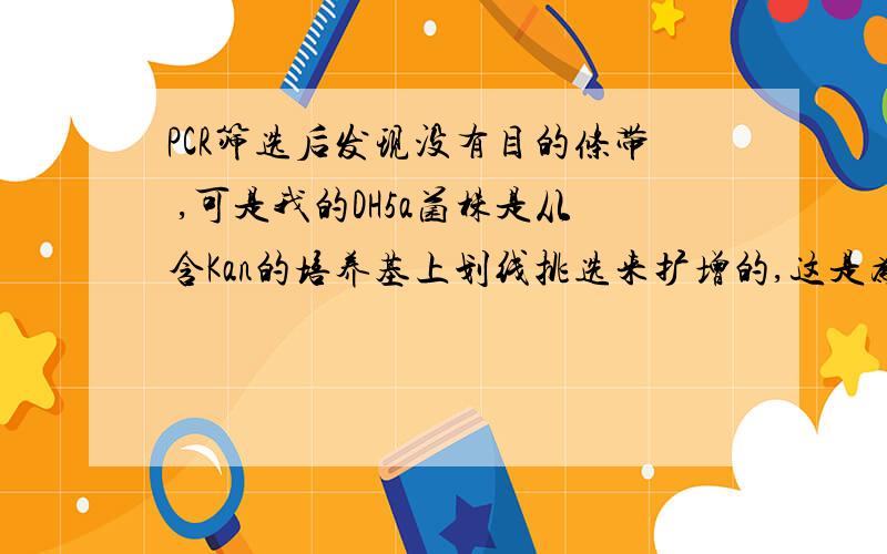 PCR筛选后发现没有目的条带 ,可是我的DH5a菌株是从含Kan的培养基上划线挑选来扩增的,这是为什么?既然是假阳性为什么DH5a还能够在含Kan的培养基上生长呢?