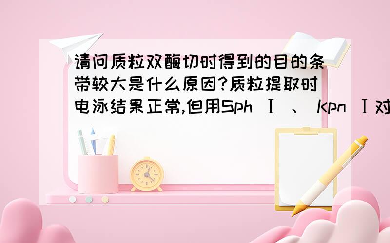 请问质粒双酶切时得到的目的条带较大是什么原因?质粒提取时电泳结果正常,但用Sph Ⅰ 、 Kpn Ⅰ对pGFP315双酶切时,得到的目的条带比正常的大,但是大片段正常,请问会是什么原因呢?