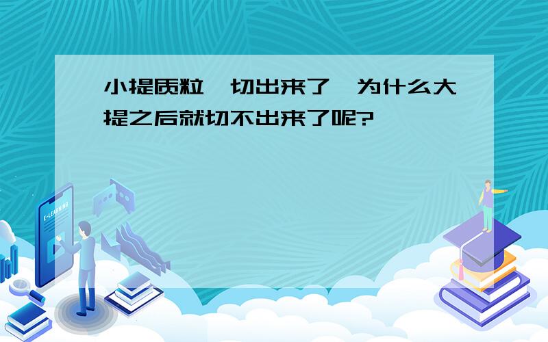 小提质粒酶切出来了,为什么大提之后就切不出来了呢?