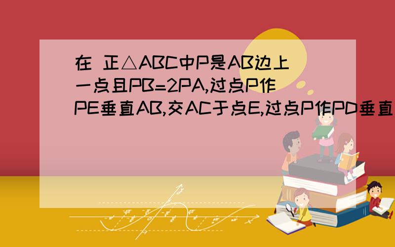 在 正△ABC中P是AB边上一点且PB=2PA,过点P作PE垂直AB,交AC于点E,过点P作PD垂直BC于点D,求证PD=PE