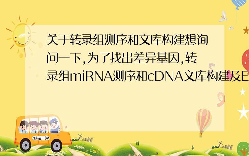 关于转录组测序和文库构建想询问一下,为了找出差异基因,转录组miRNA测序和cDNA文库构建及EST测序这两者费用多少?转录组miRNA测序和cDNA文库构建及EST测序包括了一、标准信息分析；二、高级