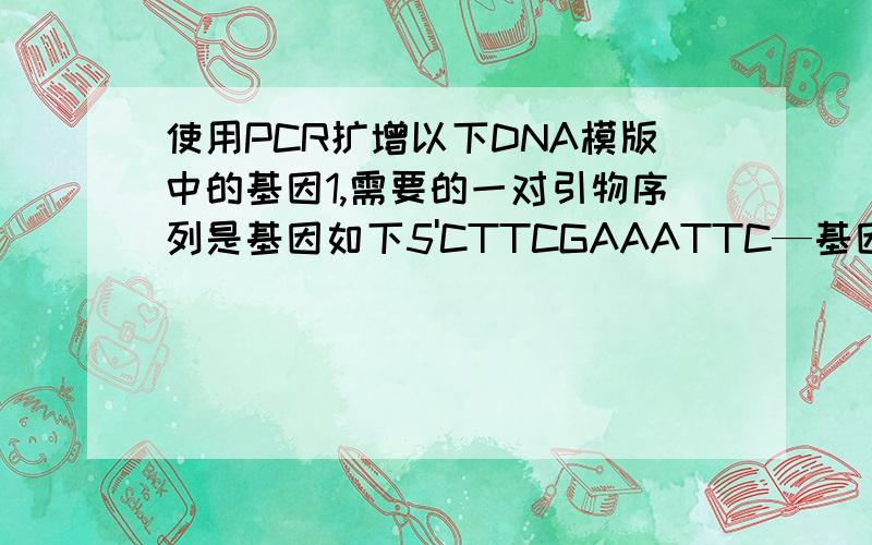 使用PCR扩增以下DNA模版中的基因1,需要的一对引物序列是基因如下5'CTTCGAAATTC—基因1—TCTCCCGATCGG—基因2—AAGATCAAATCCTTTGCTCT3写出正向引物与反向引物,基因如下5'CTTCGAAATTC—基因1—TCTCCCGATCGG—基