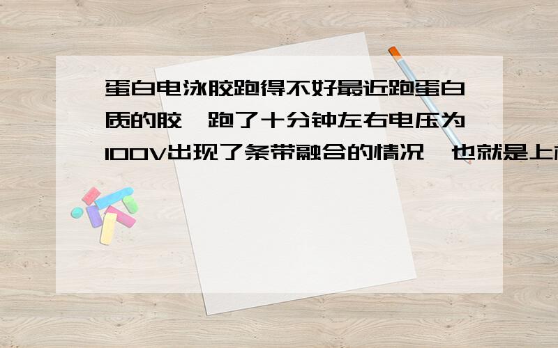 蛋白电泳胶跑得不好最近跑蛋白质的胶,跑了十分钟左右电压为100V出现了条带融合的情况,也就是上样缓冲液看起来全部都混在一起了,连成了一条线,但是线不平~这样属于正常的么?还是胶出现