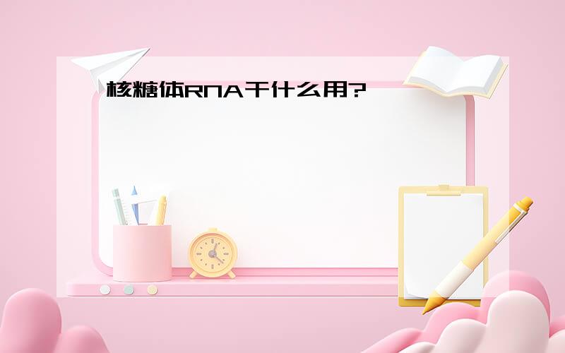 核糖体RNA干什么用?