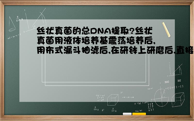 丝状真菌的总DNA提取?丝状真菌用液体培养基震荡培养后,用布式漏斗抽滤后,在研钵上研磨后,直接用的SDS法提取,因为之前没做过,但是做过酵母菌和植物的,所以就按照之前的操作做了.没有用