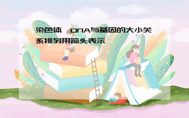 染色体、DNA与基因的大小关系排列用箭头表示