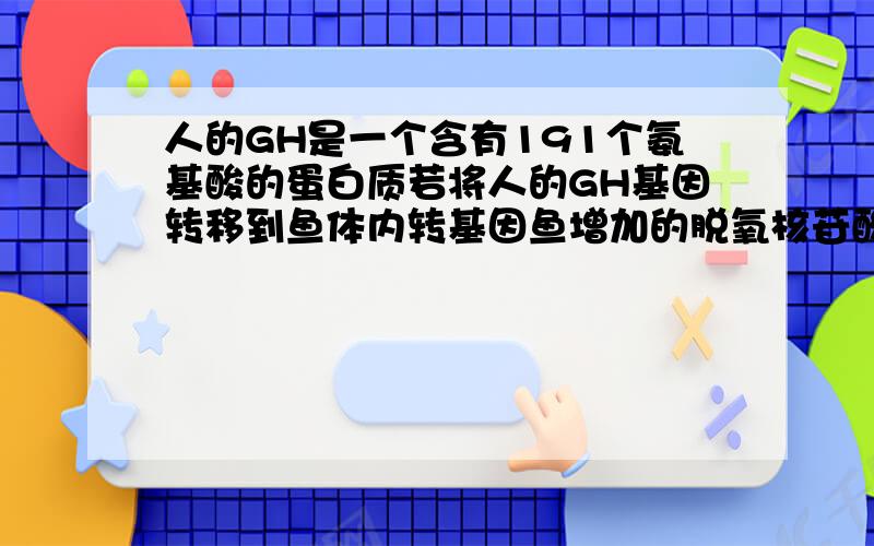 人的GH是一个含有191个氨基酸的蛋白质若将人的GH基因转移到鱼体内转基因鱼增加的脱氧核苷酸数至少1146谢谢各位。。我记起来了脱氧核苷酸数：mRNA数：氨基酸数=6：3：1