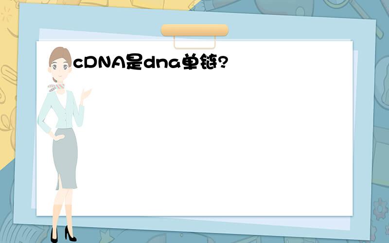 cDNA是dna单链?