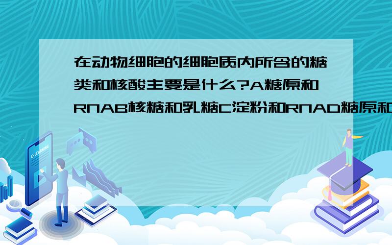 在动物细胞的细胞质内所含的糖类和核酸主要是什么?A糖原和RNAB核糖和乳糖C淀粉和RNAD糖原和DNA