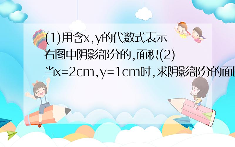 (1)用含x,y的代数式表示右图中阴影部分的,面积(2)当x=2cm,y=1cm时,求阴影部分的面图也花好了