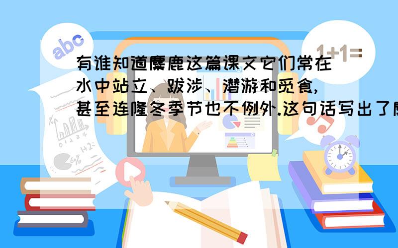 有谁知道麋鹿这篇课文它们常在水中站立、跋涉、潜游和觅食,甚至连隆冬季节也不例外.这句话写出了麋鹿.请回答我,很重要!