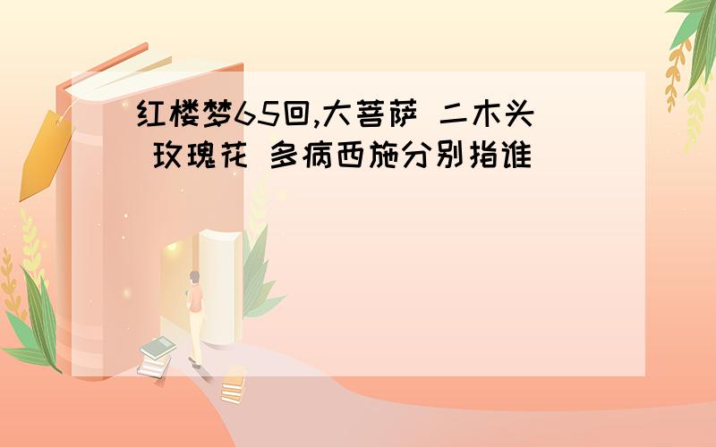 红楼梦65回,大菩萨 二木头 玫瑰花 多病西施分别指谁