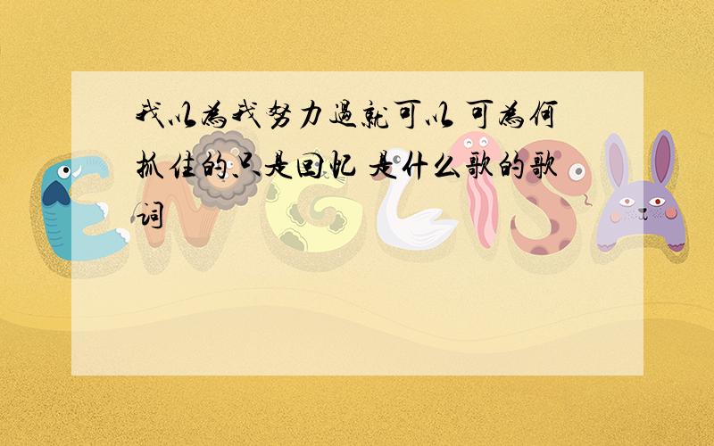 我以为我努力过就可以 可为何抓住的只是回忆 是什么歌的歌词