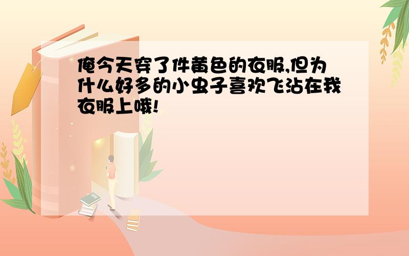 俺今天穿了件黄色的衣服,但为什么好多的小虫子喜欢飞沾在我衣服上哦!